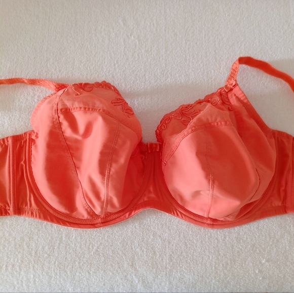 1St & Curve Embroidered Unlined Underwire Bra, size 36I - Picture 5 of 16